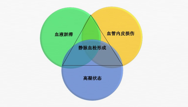 沉默殺手 VTE，如何進行抗凝治療？三問搞懂