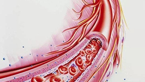 《醫(yī)院內(nèi)靜脈血栓栓塞癥防治質(zhì)量評價與管理指南（2022版）》節(jié)選之----醫(yī)院內(nèi)VTE防治的重點人群和關(guān)鍵動態(tài)時點