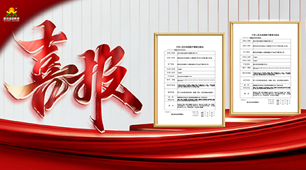 重磅捷報(bào)！雙證落地！新希望醫(yī)療深耕VTE防治，康復(fù)領(lǐng)域再添硬核利器