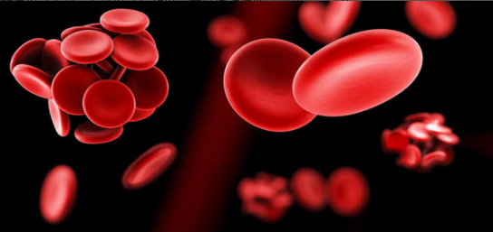 VTE在康復科的宣傳 VTE在康復科的宣傳