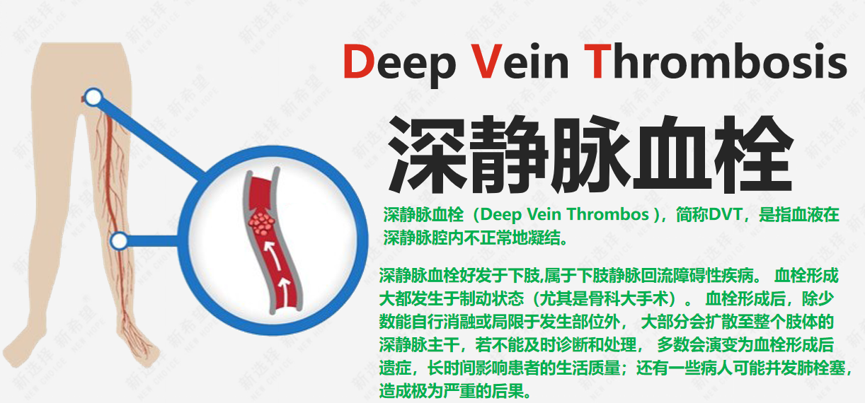 詩和遠方 讓健康與靈魂共享 詩和遠方 讓健康與靈魂共享