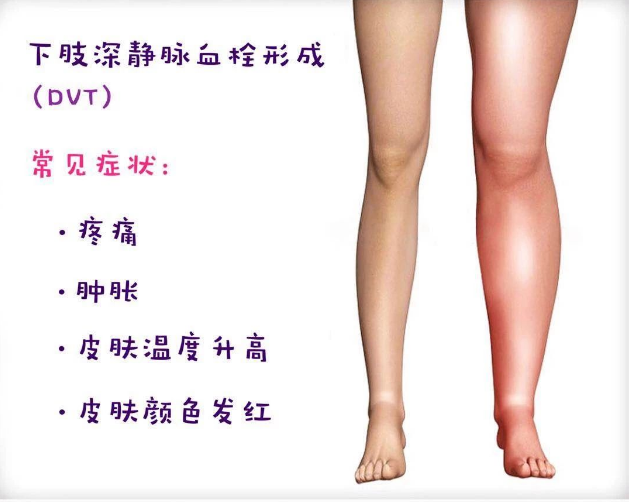 詩和遠方 讓健康與靈魂共享 詩和遠方 讓健康與靈魂共享