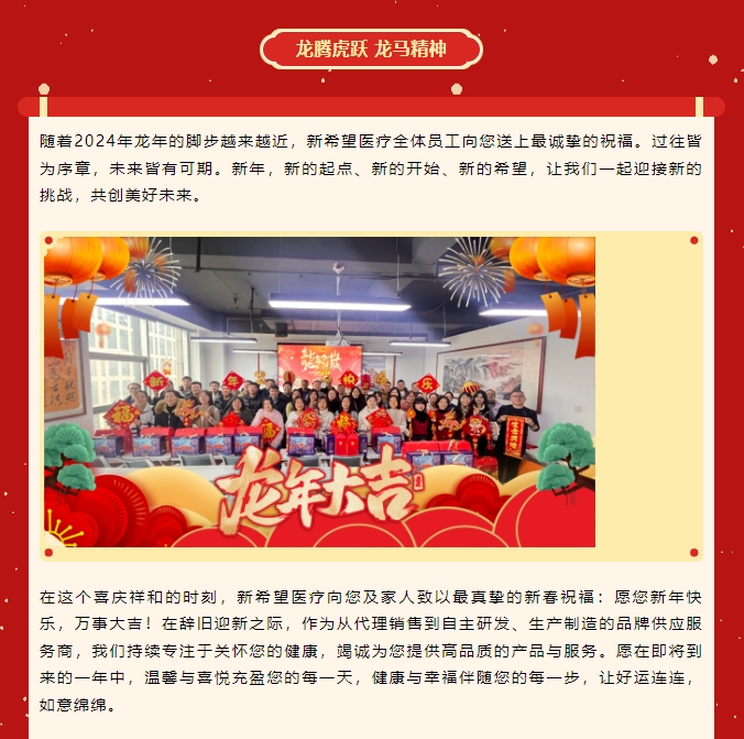 龍嘯新春，共赴新程