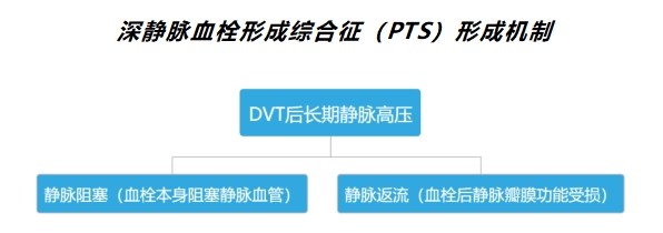 淺談深靜脈血栓后綜合征(PTS) 淺談深靜脈血栓后綜合征(PTS)