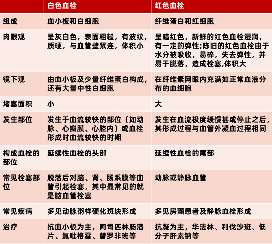 世界血栓日來(lái)臨之際 共話(huà)血栓的前世今生