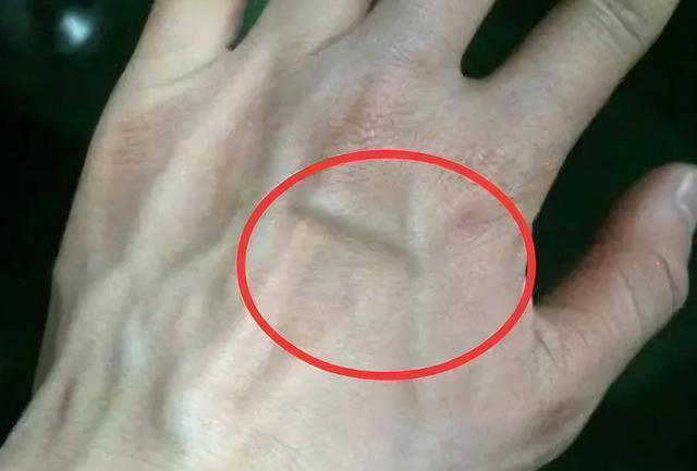 1微信截圖_20240412090457 1微信截圖_20240412090457