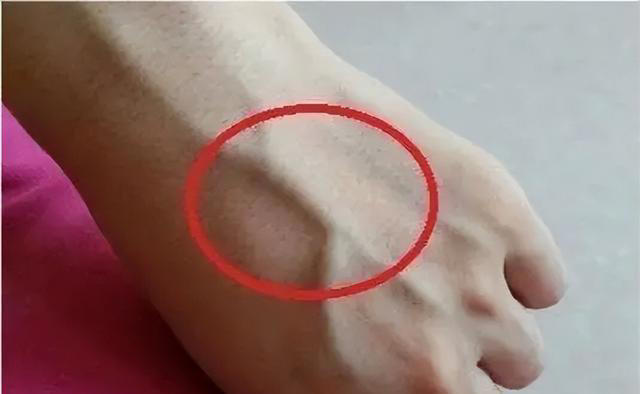 3微信截圖_20240412090457 3微信截圖_20240412090457