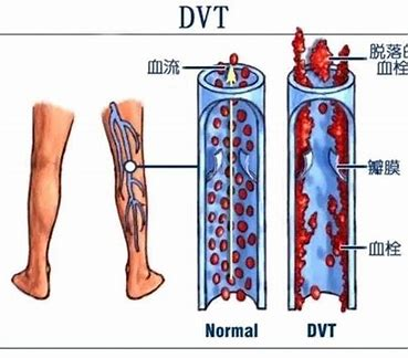 2微信截圖_20240412090457 2微信截圖_20240412090457