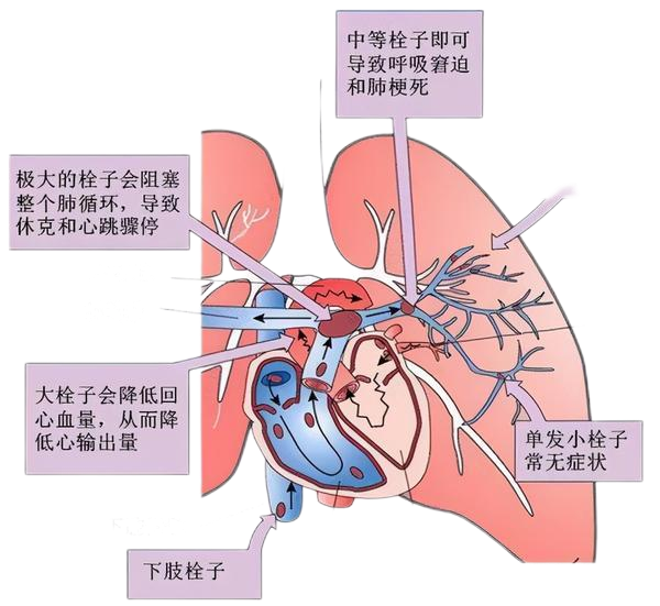 3微信截圖_20240412090457 3微信截圖_20240412090457