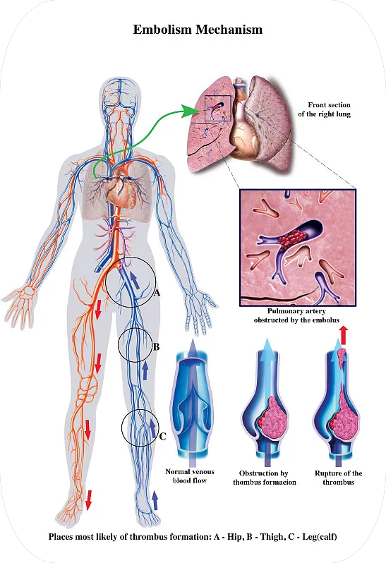 1微信截圖_20240412090457 1微信截圖_20240412090457